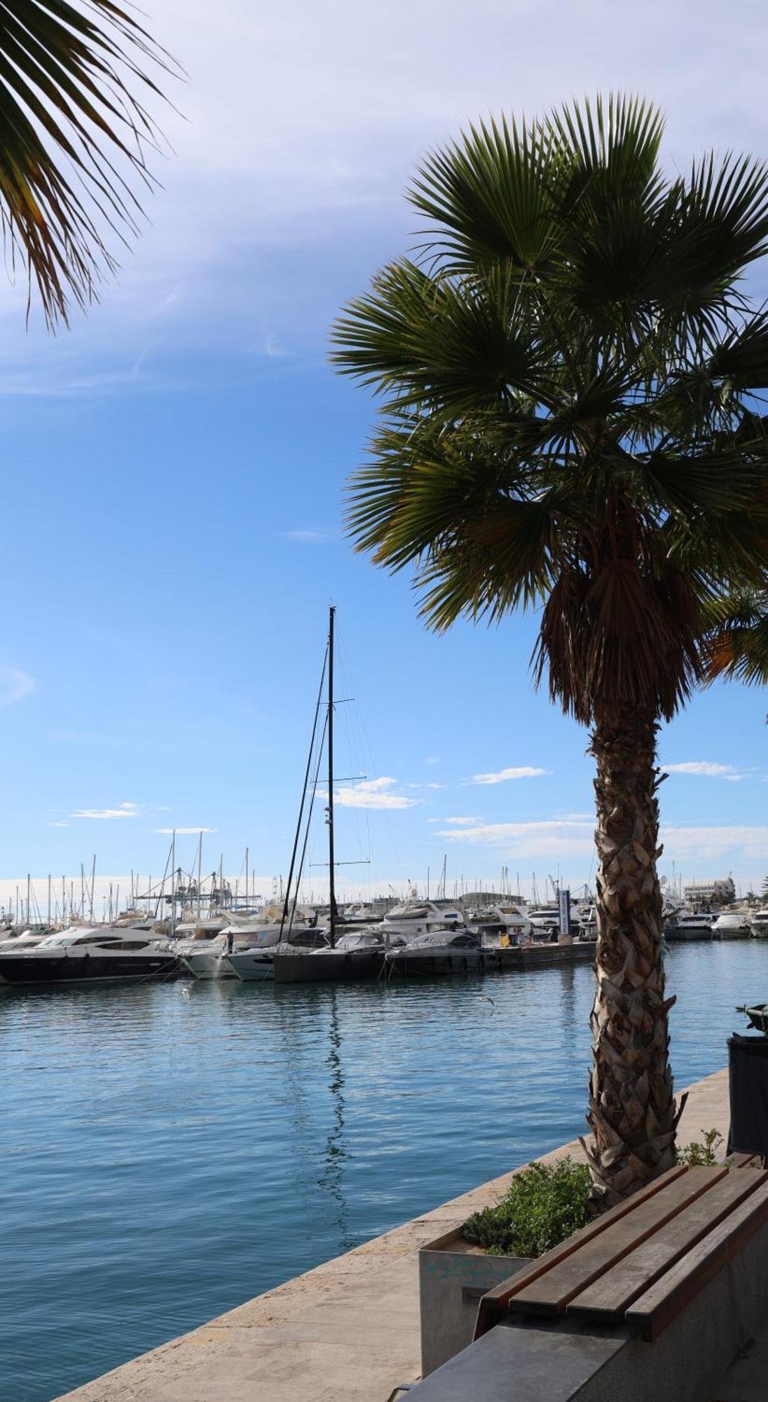 Alicantan Vital Experience Alicante Dış mekan fotoğraf