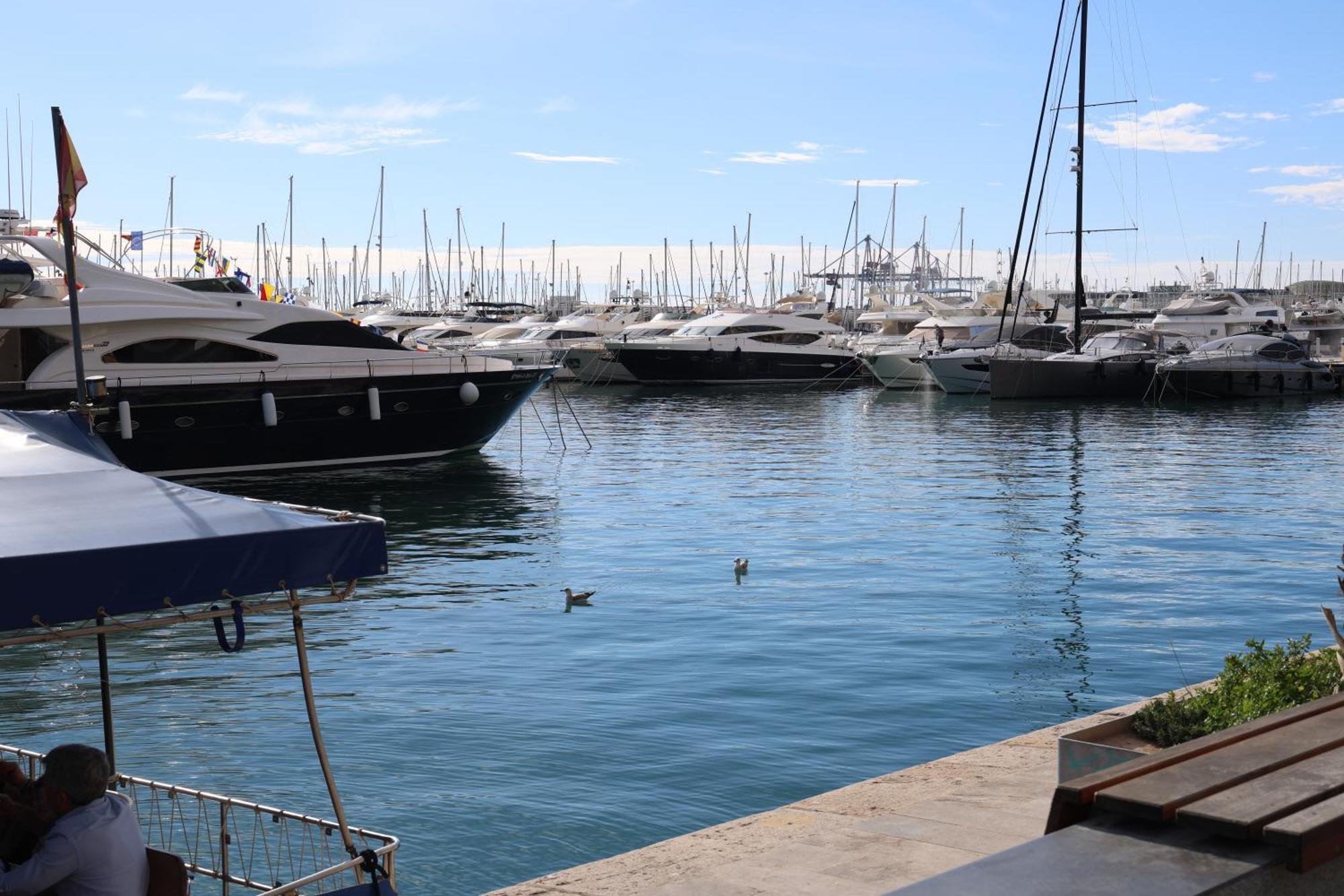 Alicantan Vital Experience Alicante Dış mekan fotoğraf